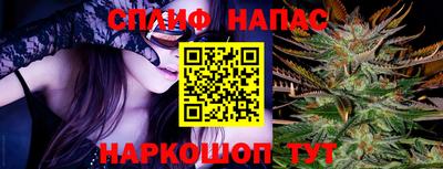 МДПВ Будённовск