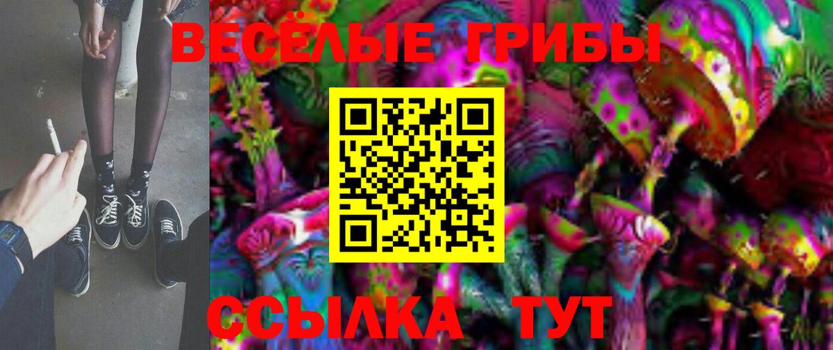 Королёв  Псилоцибиновые грибы ЛСД  хочу   Вход с VPN 
