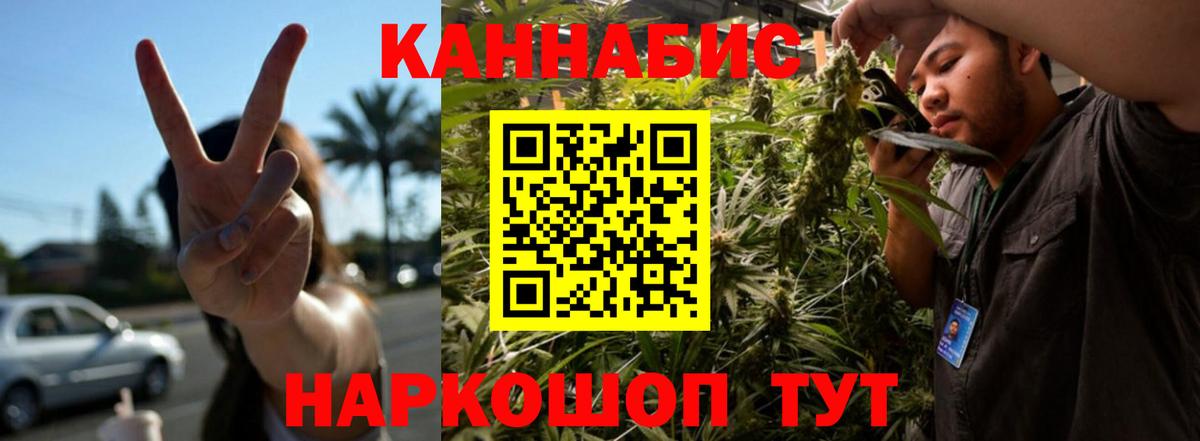 Шишки марихуана Ganja Королёв